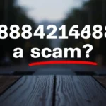 Is 8884216488 a scam