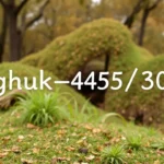 Ghuk-Y44551/300